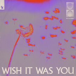 Cover of Wish It Was You