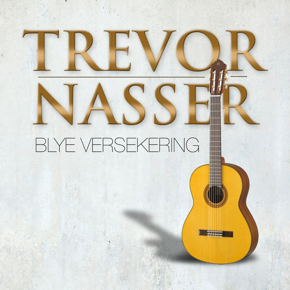 Picture of Blye Versekering