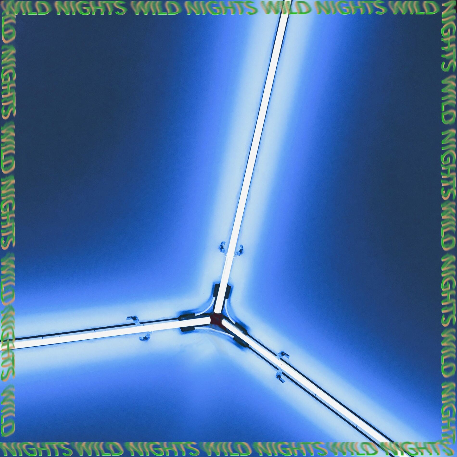 Album cover of Wild Nights