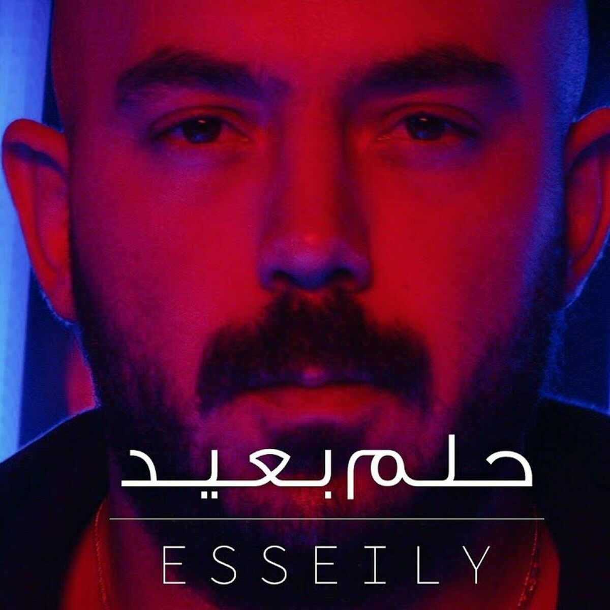 Album cover of حلم بعيد
