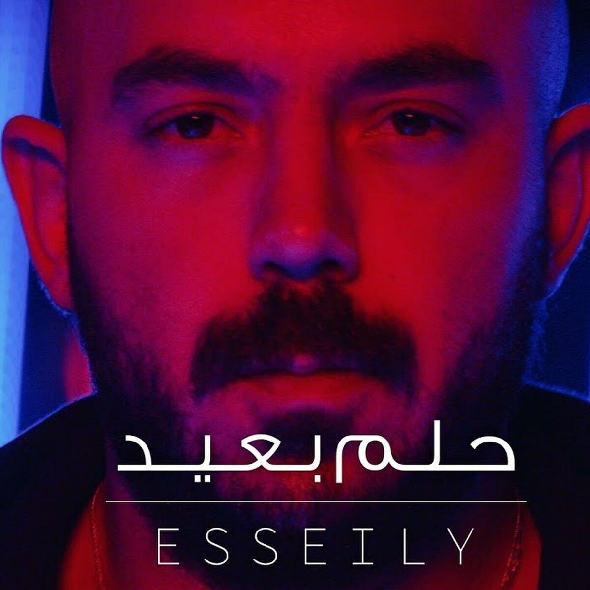 Album cover of حلم بعيد
