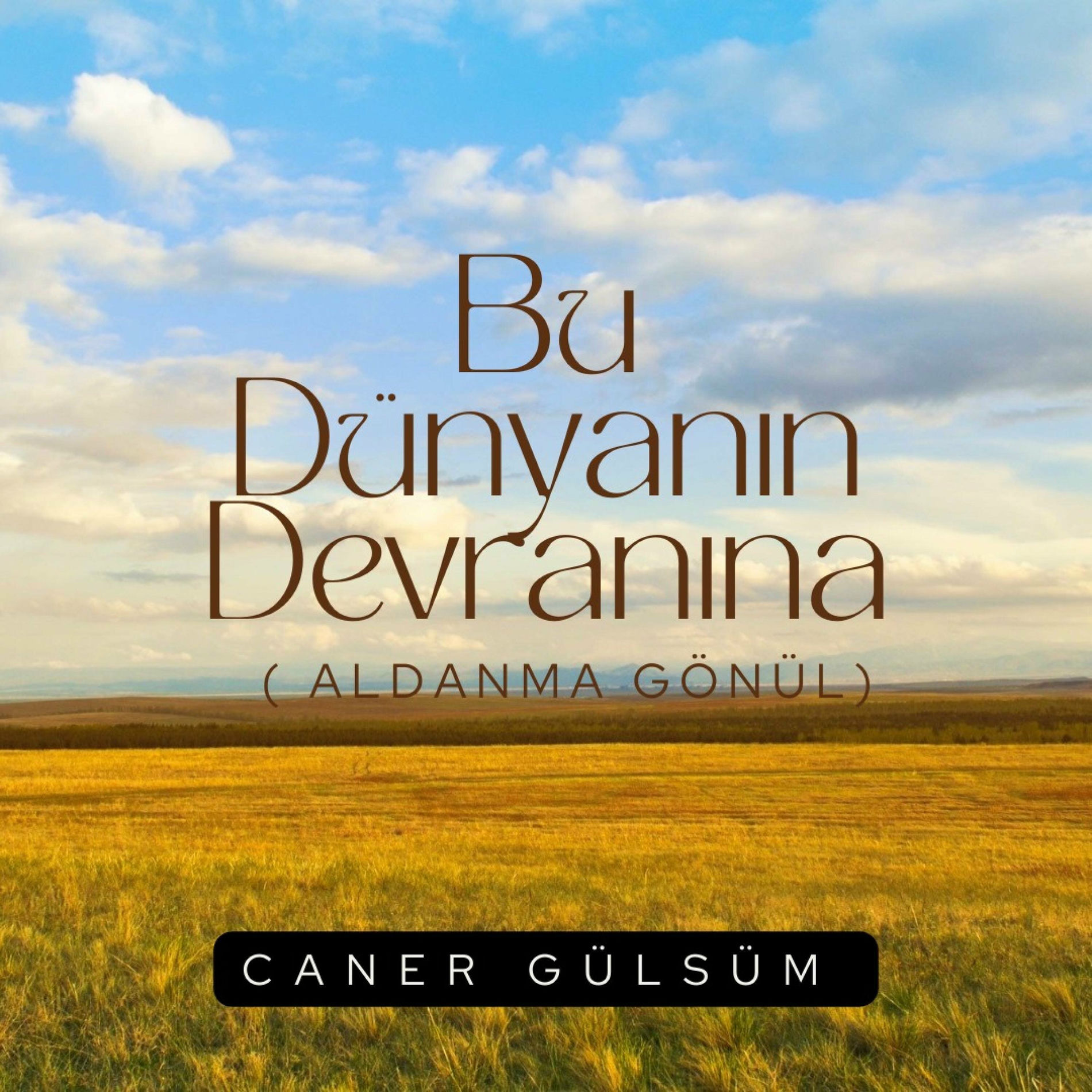 Album cover of Bu Dünyanın Devranına