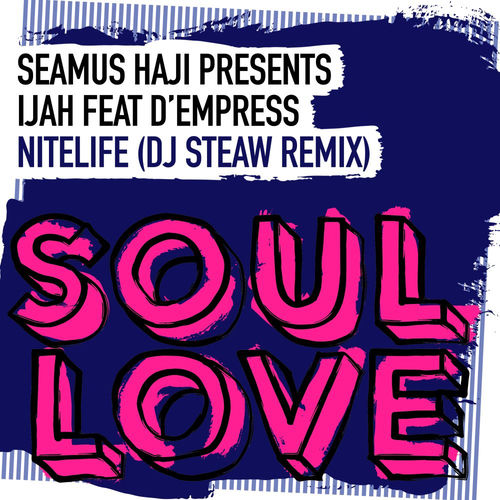 Nitelife (DJ Steaw Remix) artwork