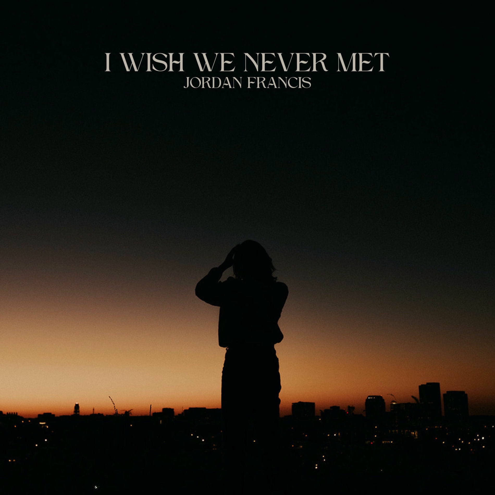 Album cover of I Wish We Never Met