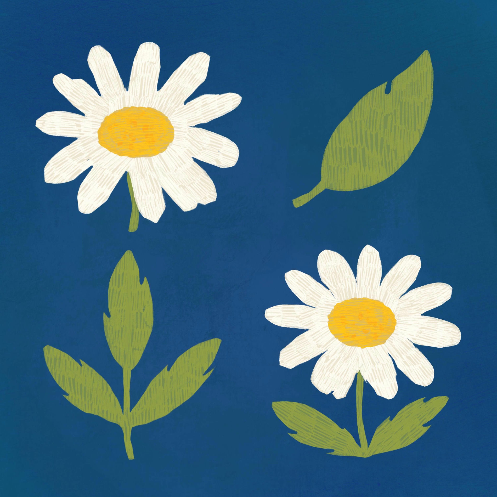 Album cover of chamomile waltz