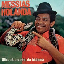 Cover of Olha o Tamanho da Bichona