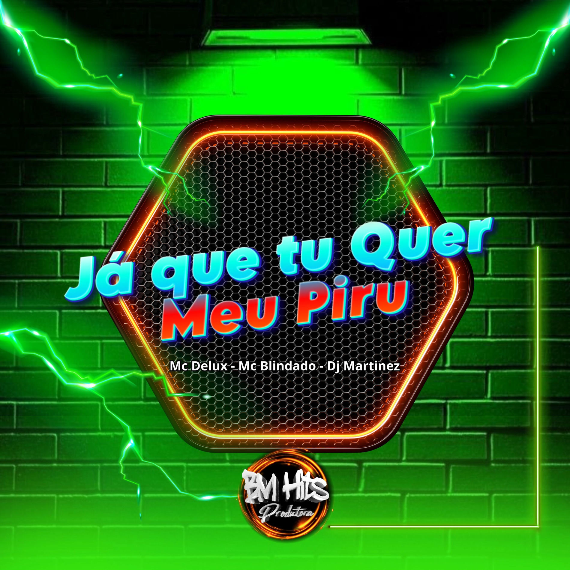 Album cover of Já que tu quer meu piru