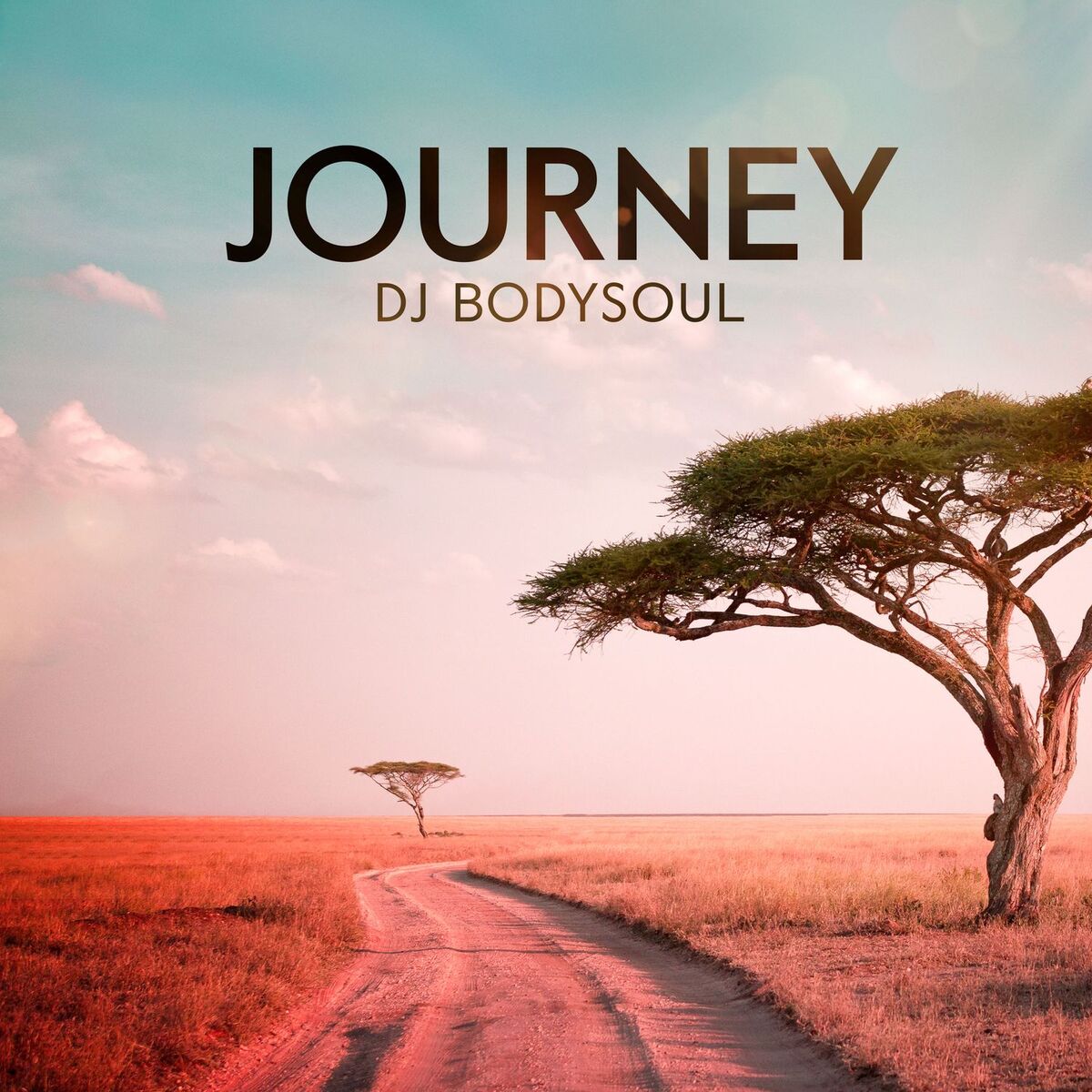 Album cover of Journey