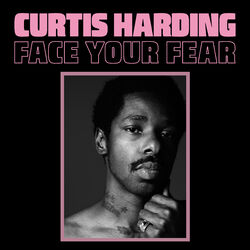Cover of Face Your Fear