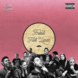 Cover of Friends, Funk & Liquor