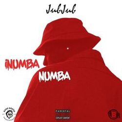 Cover of iNumba Numba