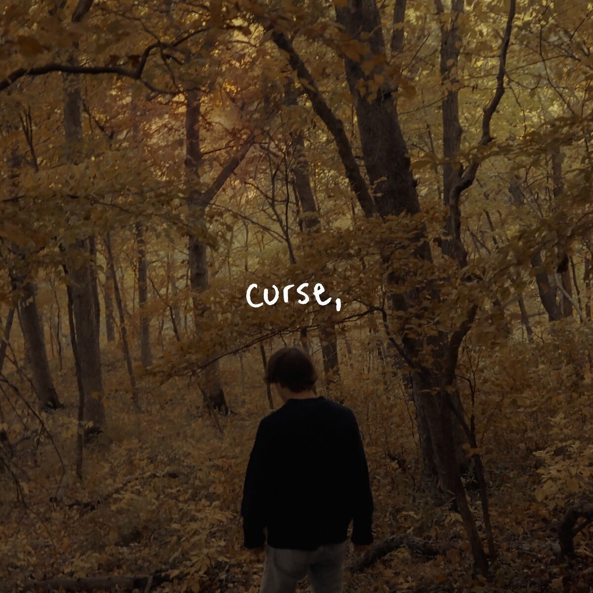 Album cover of curse,