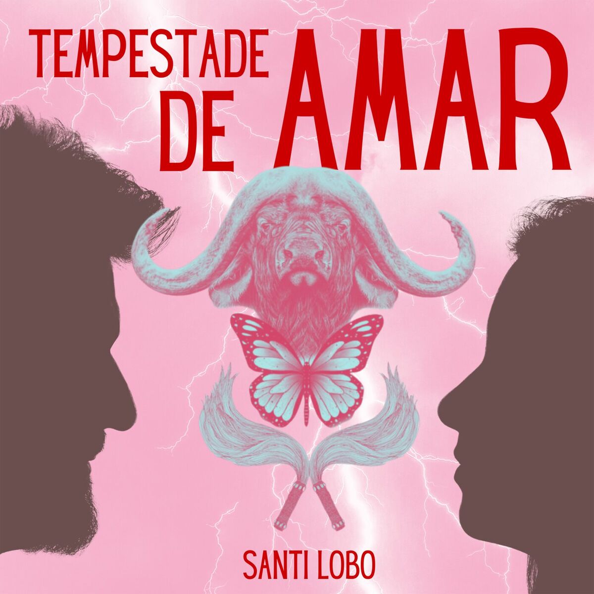 Album cover of Tempestade De Amar