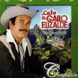 Cover of Confesion