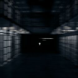 Cover of ThE pRISOn