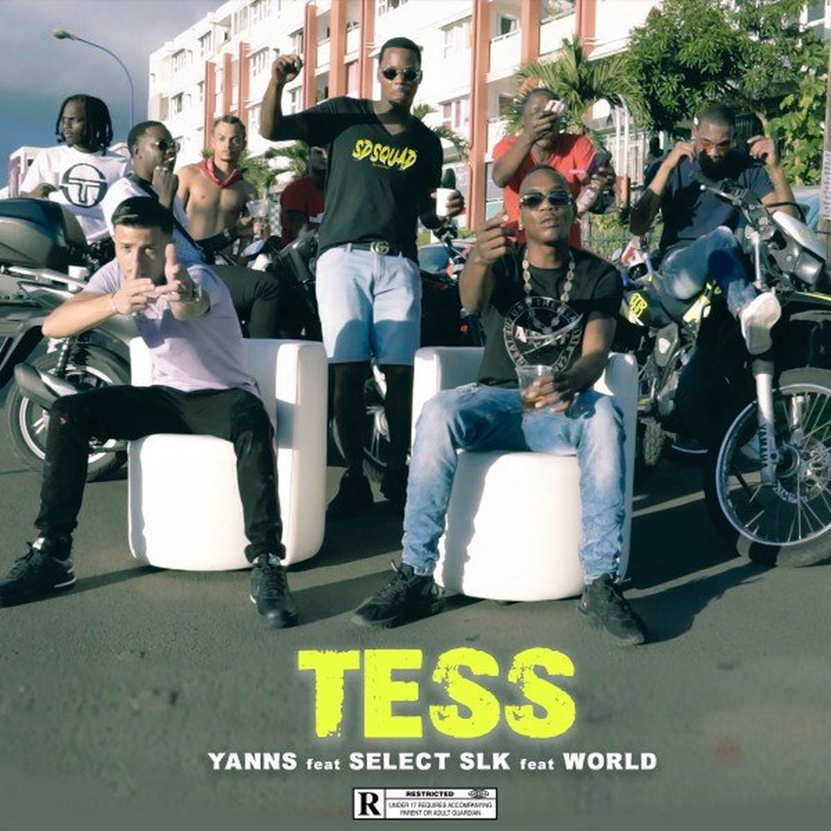 Album cover of Tess