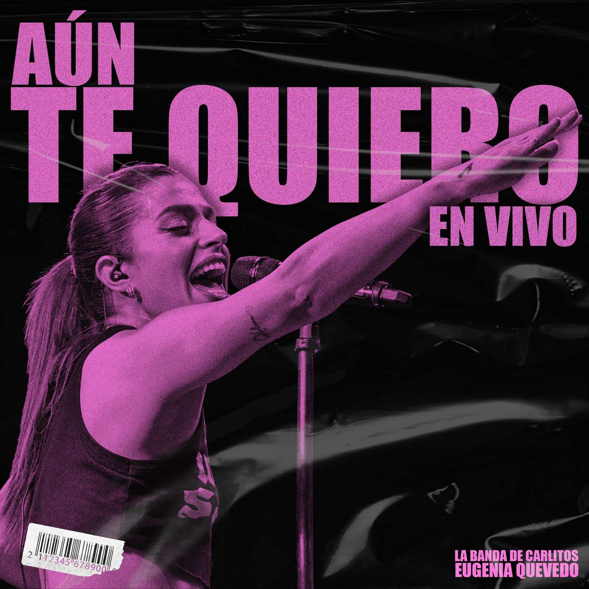 Album cover of Aún Te Quiero