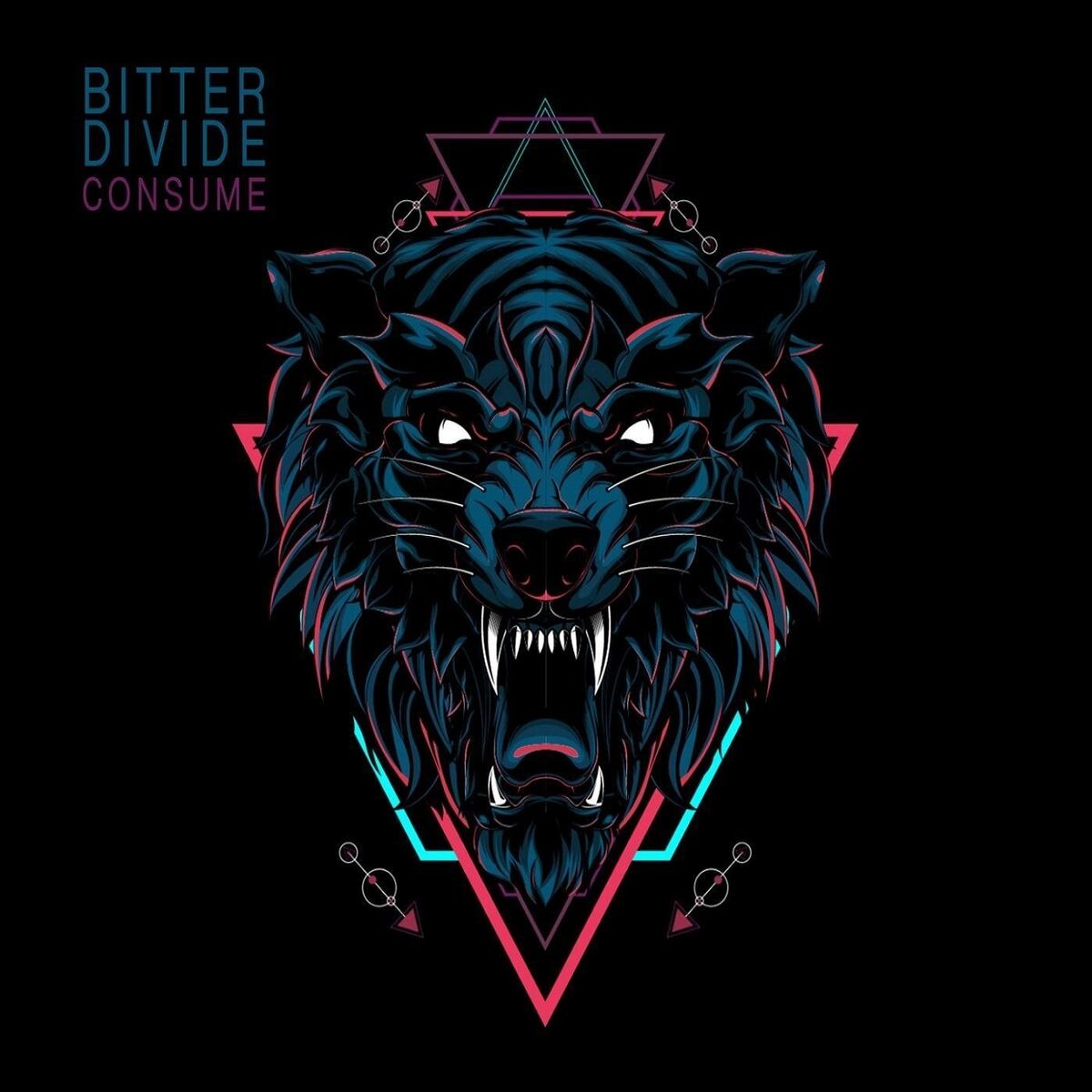 Album cover of Consume