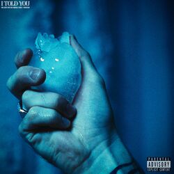 Cover of I Told You
