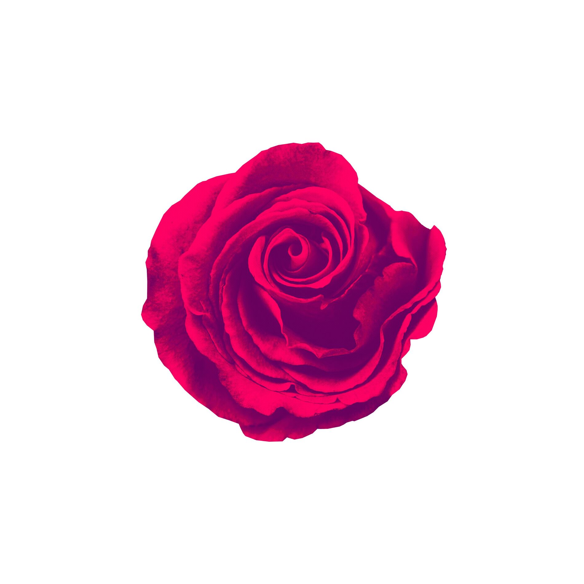 Album cover of Colourbreak
