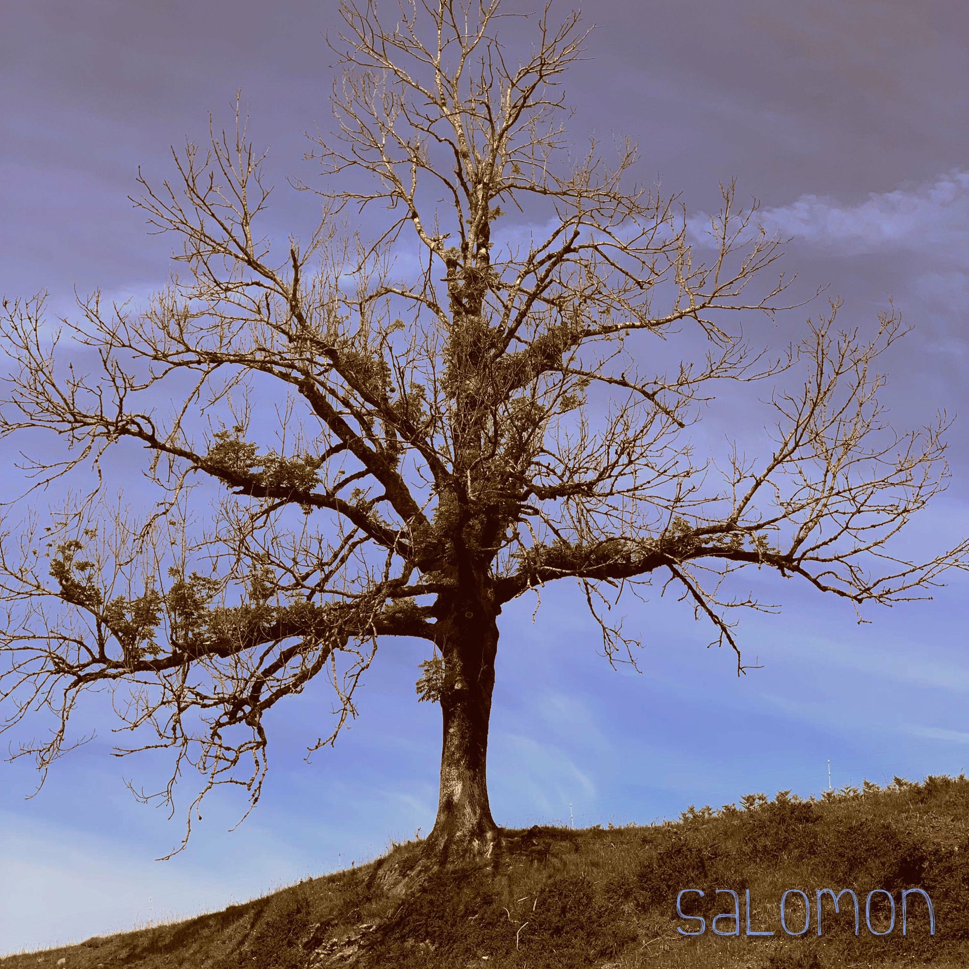 Album cover of Diggin' A Hole