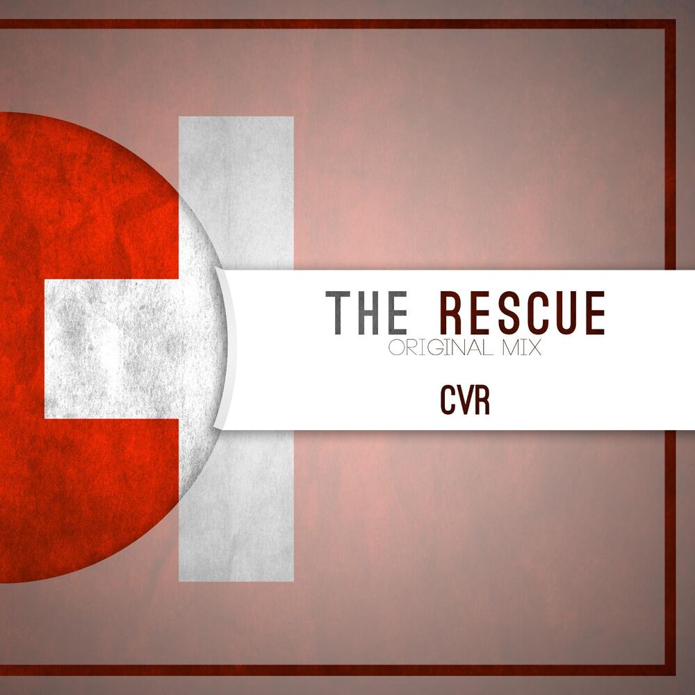 Picture of The Rescue