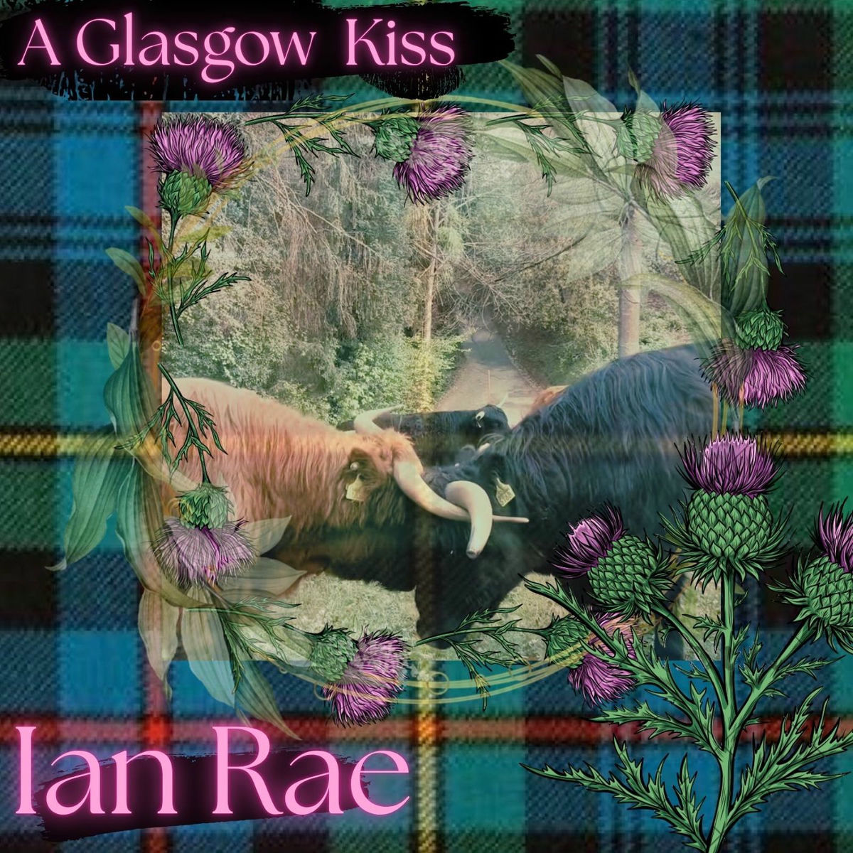 Album cover of A Glasgow Kiss