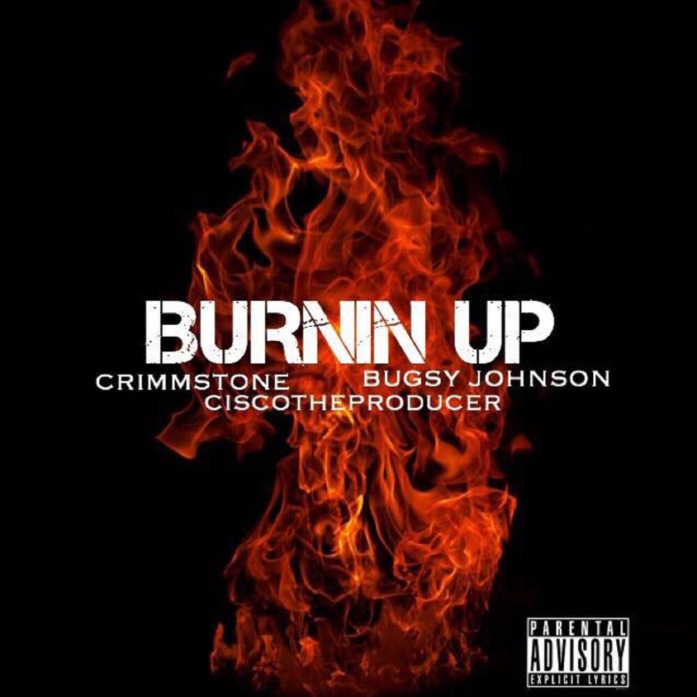 Picture of Burnin Up (feat. CrimmStone & Alex Bugsy Johnson)