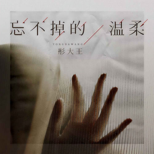忘不掉的温柔