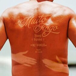 Cover of MUITO FOGO