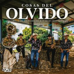 Cover of Cosas del Olvido