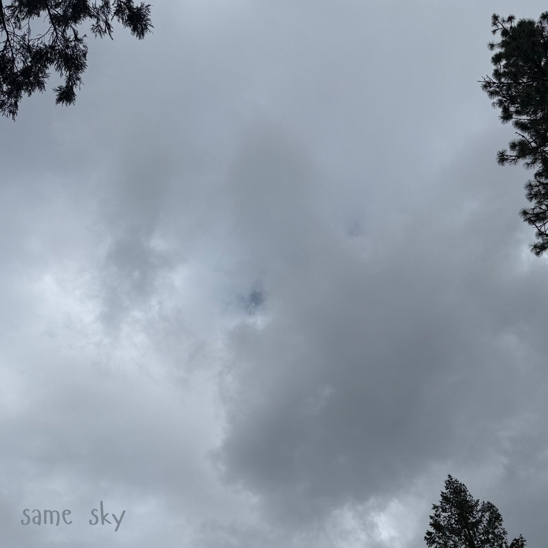 Album cover of Same Sky (feat. Astyn Turr)