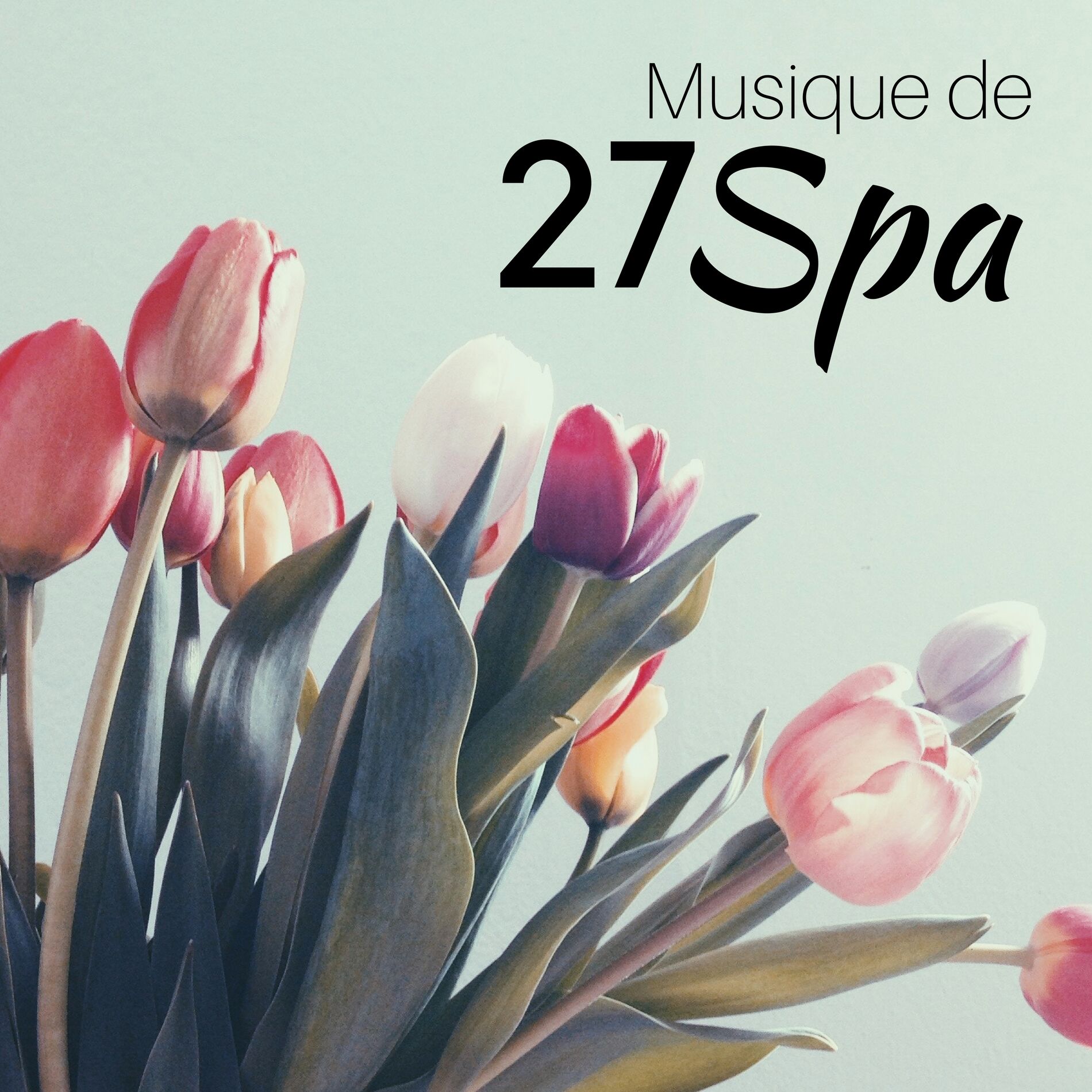 Album cover of 27 Musique de Spa: Musique pour Centre de Bien-être, Santé, bonheur, détente, sons apaisants pour une relaxation profonde, musique