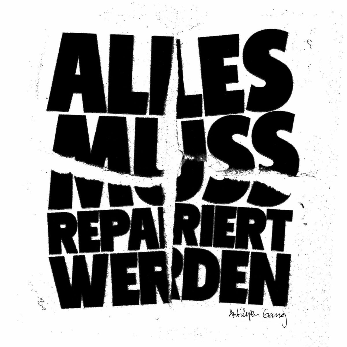 Album cover of Alles muss repariert werden