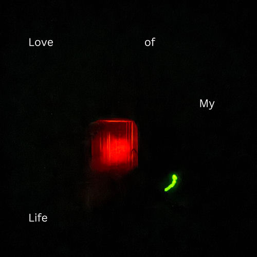 Love of My Life artwork