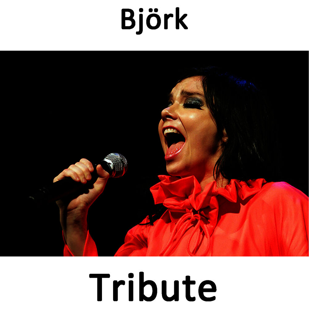 Picture of Human Behaviour: Tribute To Bjork
