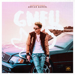 Cover of GMFU