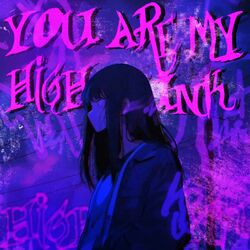 Cover of YOU ARE MY HIGH FUNK