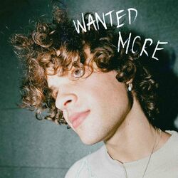 Cover of Wanted More