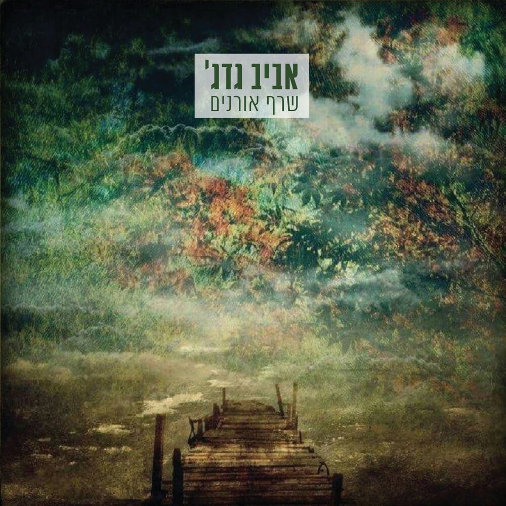 Picture of שרף אורנים
