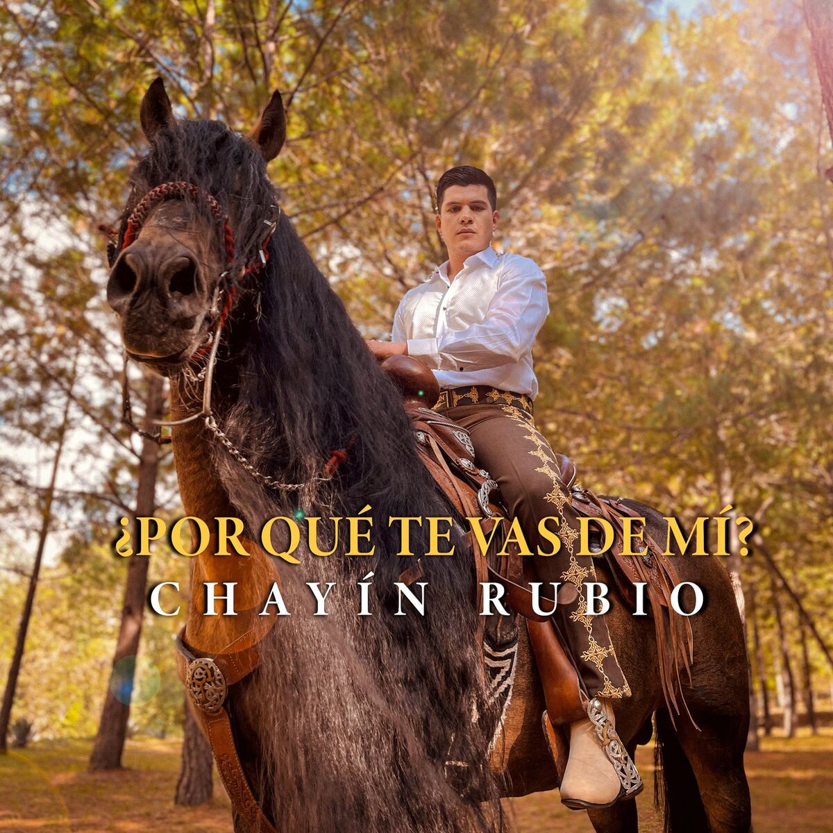 Album cover of ¿Por Qué Te Vas De Mí?