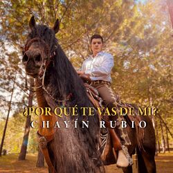 Cover of ¿Por Qué Te Vas De Mí?