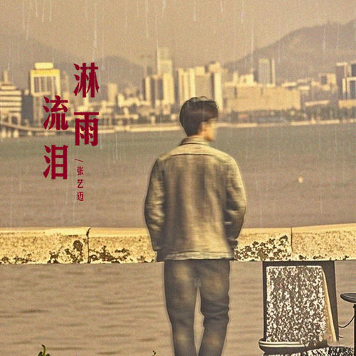 淋雨流泪(DJ豪大大版)