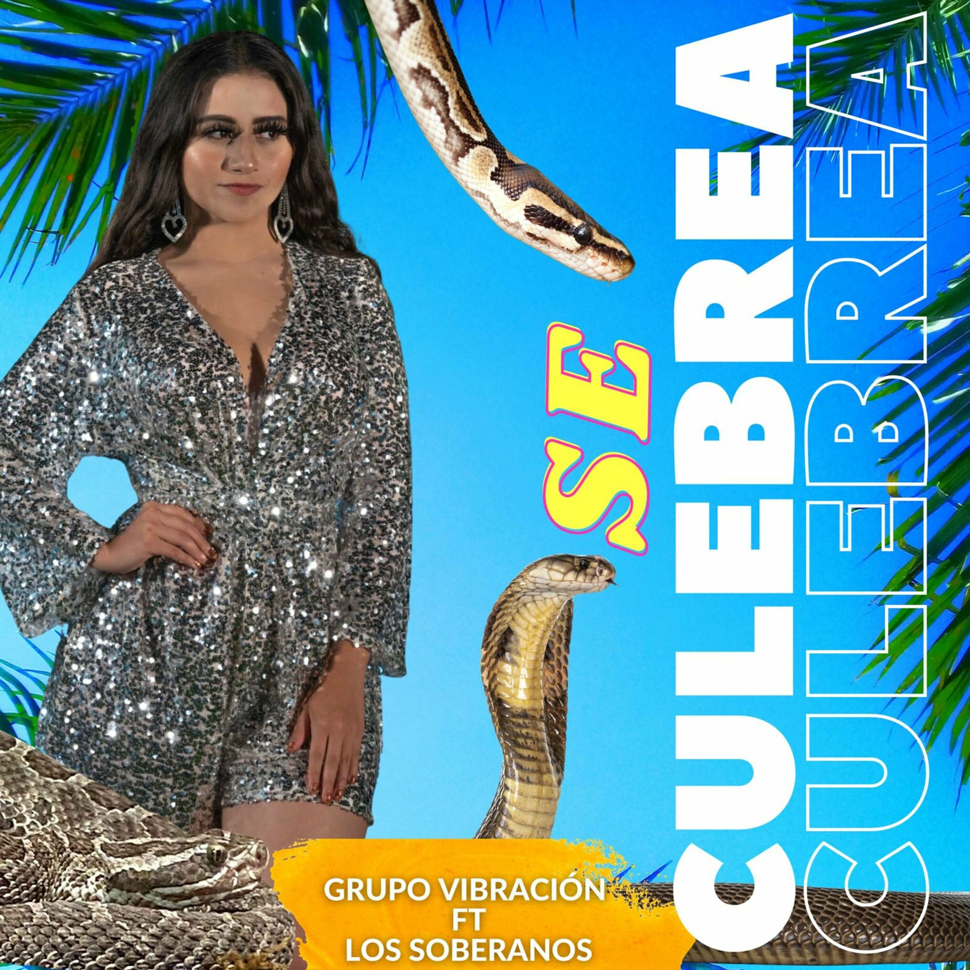 Album cover of Se Culebrea