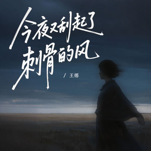今夜又刮起了刺骨的风