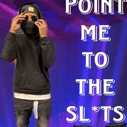 Cover of Point Me To The Sluts