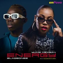 Cover of Energy