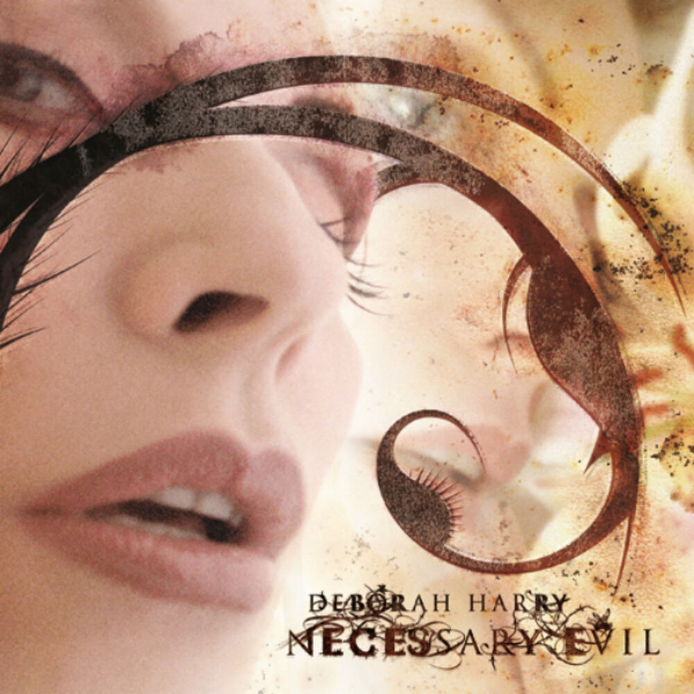 Picture of Necessary Evil