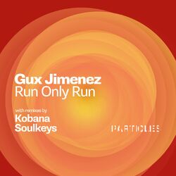 Cover of Run Only Run