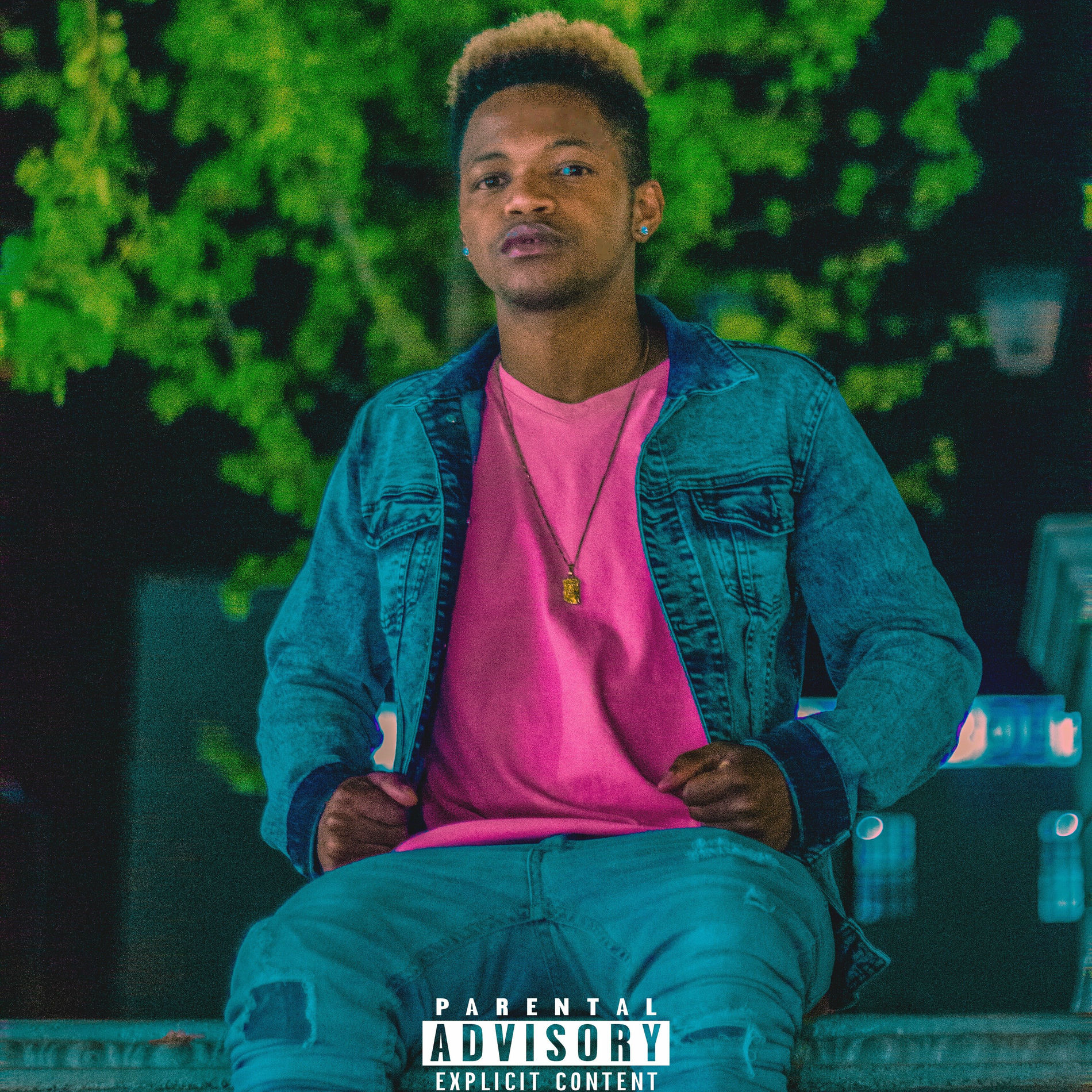 Album cover of The Industry Needs Me